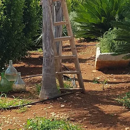 Trullo Saraceno Ostuni
