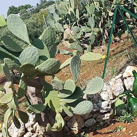 Prázdninový dům Trullo Saraceno *